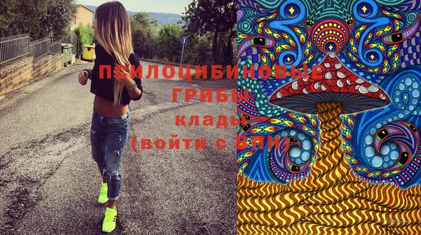 мдпв Армянск