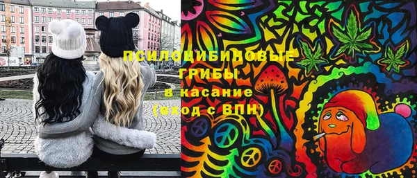 мдпв Армянск