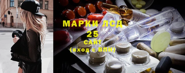 прущие грибы Алексеевка