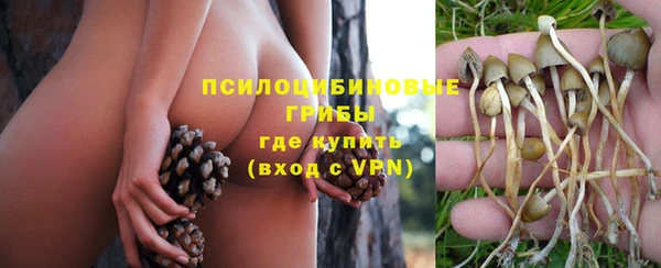 трава Инсар